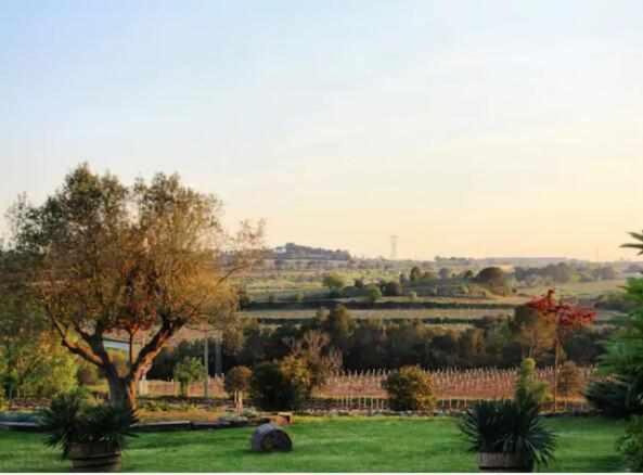 Masia Olivera Sant Pau d'Ordal Extérieur photo